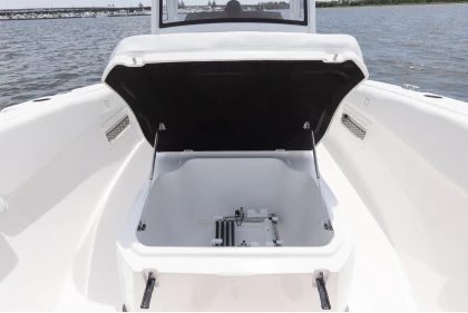Removable ladder with storage for dive door